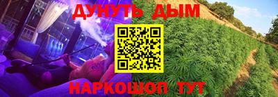 шишки Моздок